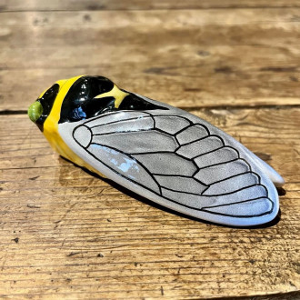 Authentic Cicada