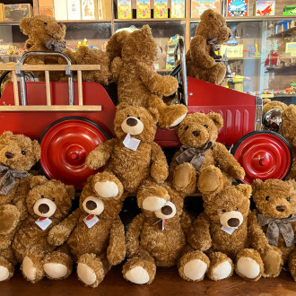 Ourson Teddy collection
