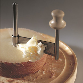 Girolle avec couvercle - Machine à découper au fromage Tete de Moine et  chocolats avec la même forme de fromage. : : Cuisine et Maison