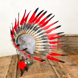 Indian Headdress Disguise