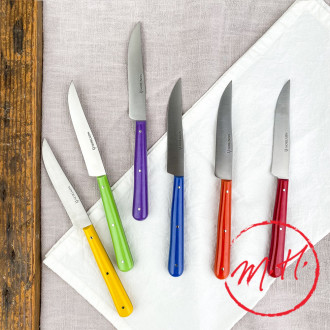 Couteaux de table colorés Nontron
