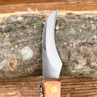 couteau A champignons avec manche en bois et lame en acier de 19 cm avec  brosse