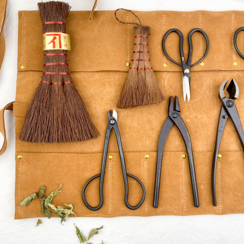 Audeuk Kit de 10 outils pour bonsaï, outils de jardinage avec fils
