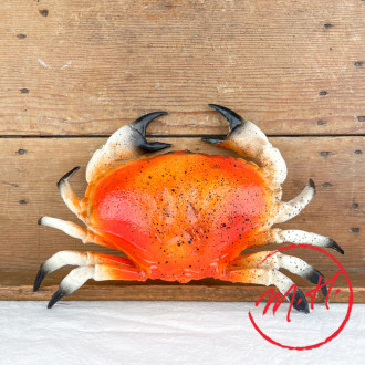 Crabe décoratif