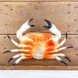 Decorative crab