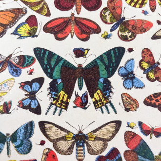 A5 butterfly notebook