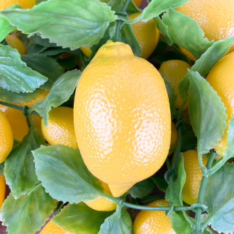 Lemon garland