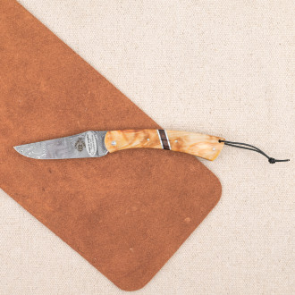 Camembert knife Laguiole en Aubrac