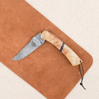 Camembert knife Laguiole en Aubrac