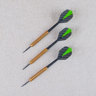 Set of 3 green 24 g darts with case