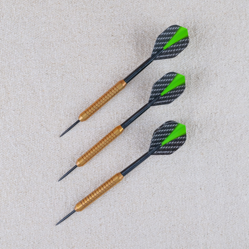 Set of 3 green 24 g darts with case