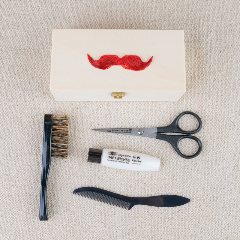 Mustache kit