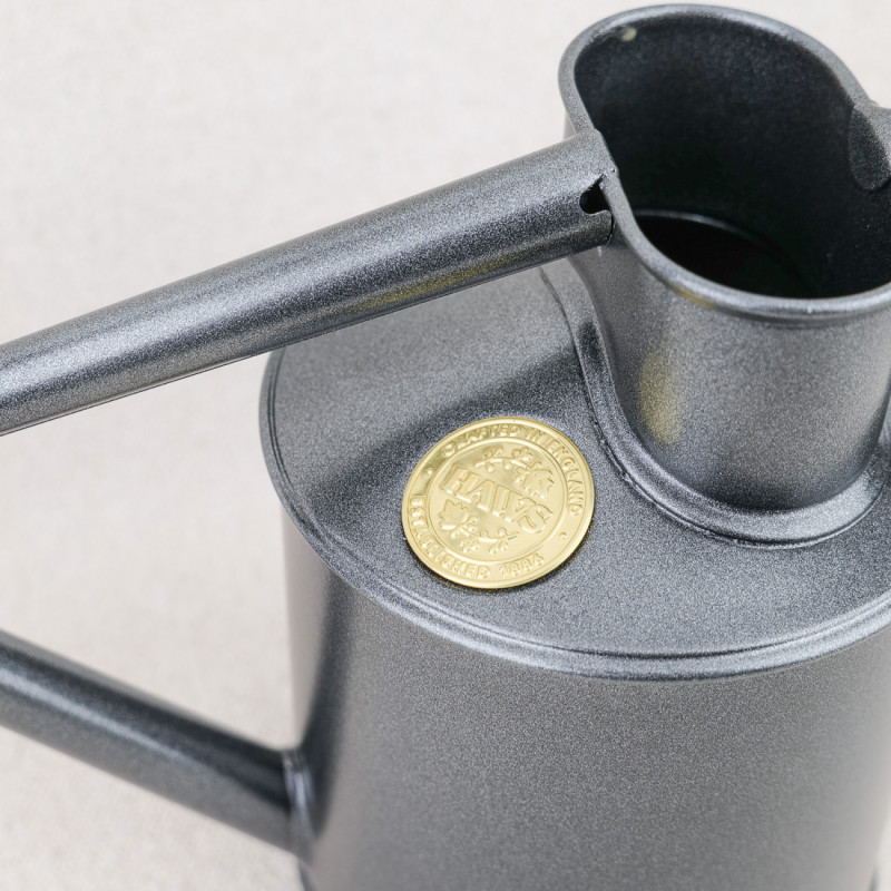 Arrosoir d'intérieur en métal pailleté 1 litre