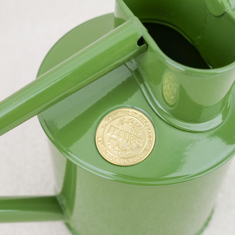 1-liter green metal indoor watering can