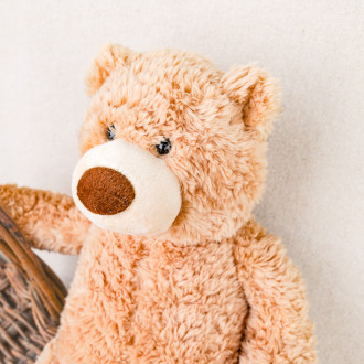 Teddy beige teddy bear