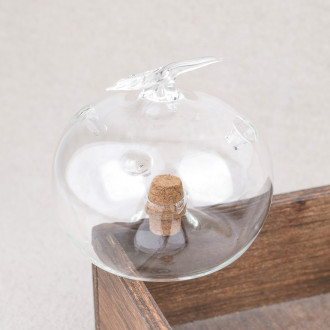 Attrape-mouche pomme à poser