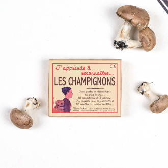 J'apprends à reconnaître les champignons