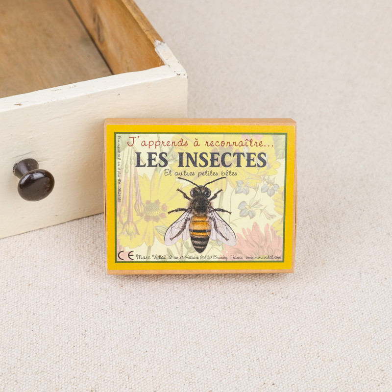 J'apprends à reconnaître les insectes