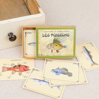 J'apprends à reconnaître les poisson