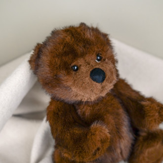 Wiltold teddy bear