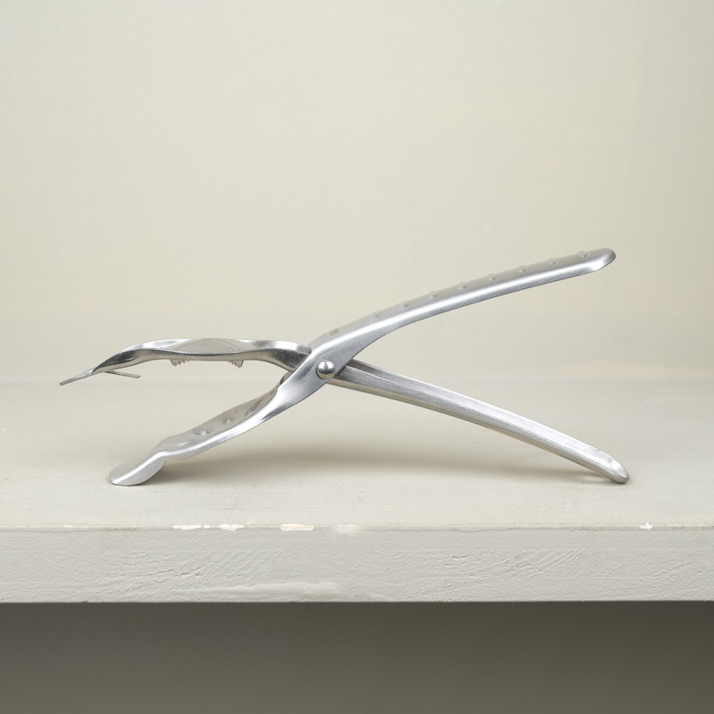 Fendeur à chataignes