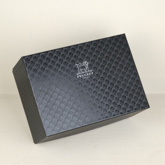 Interchangeable pepper set Peugeot Maestro