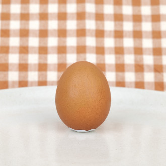 Real chocolate egg in shell