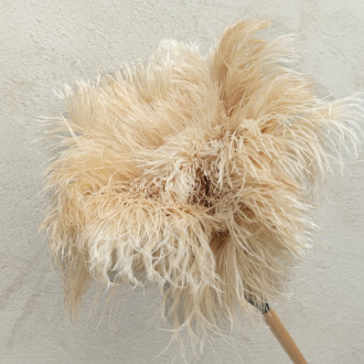 Plumeau en plumes d'autruche 70 cm
