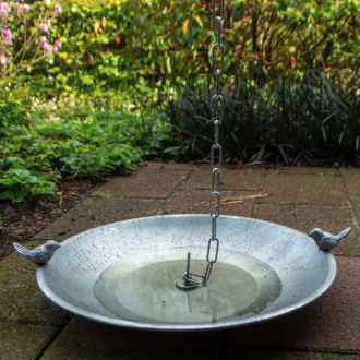 Rainbath for birds