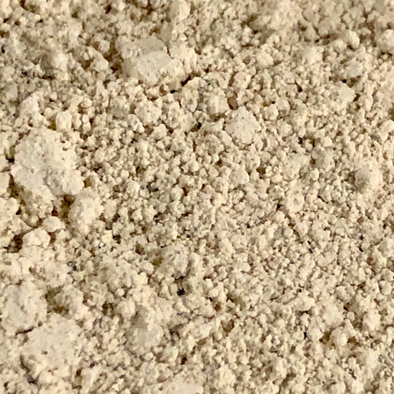 recharge dnetifrice en poudre