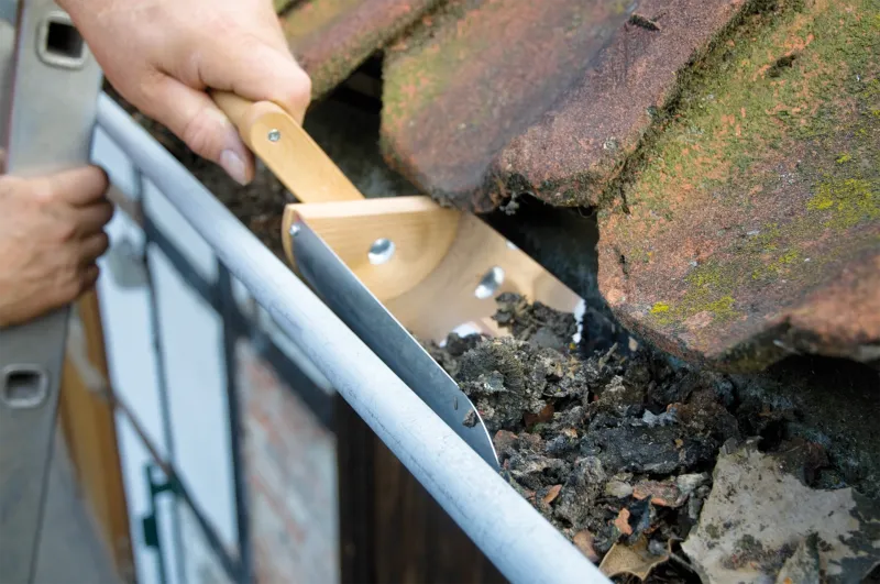 Gutter scoop