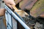 Gutter scoop