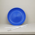 Spinning plate and stick