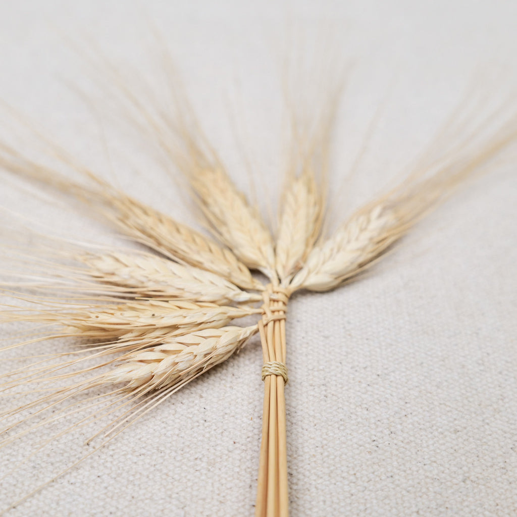 Saint John's Day plaited wheat ears