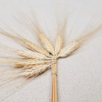 Saint John's Day plaited wheat ears