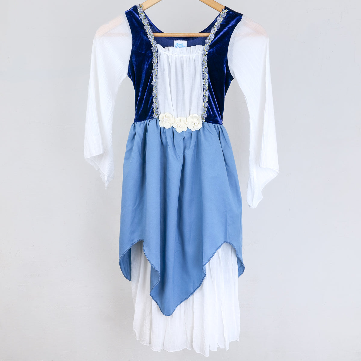 Blue princess dress costume