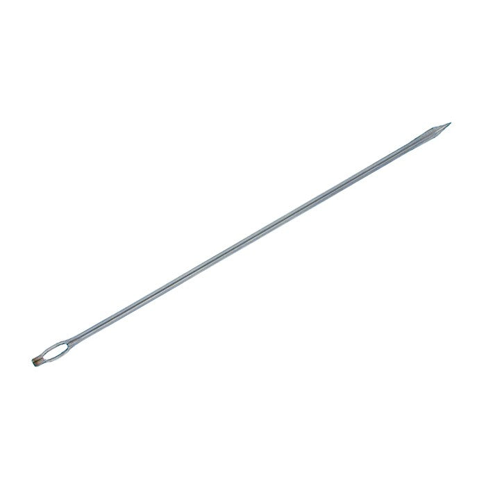 Trussing needle