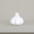 Decorative garlic