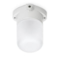 Applique de plafond en porcelaine blanche 60W verre mat