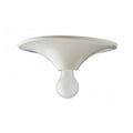 White plastic wall or ceiling light
