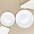 White enamel dinner plate