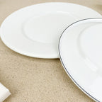 White enamel dinner plate
