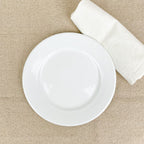 White enamel dinner plate