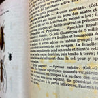 Atlas de poche