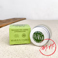 Olive oil & shea butter lip balm
