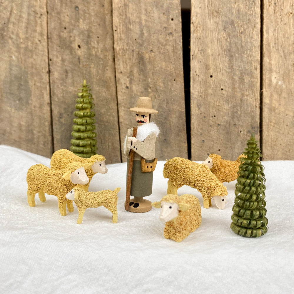 Shepherd and his flock