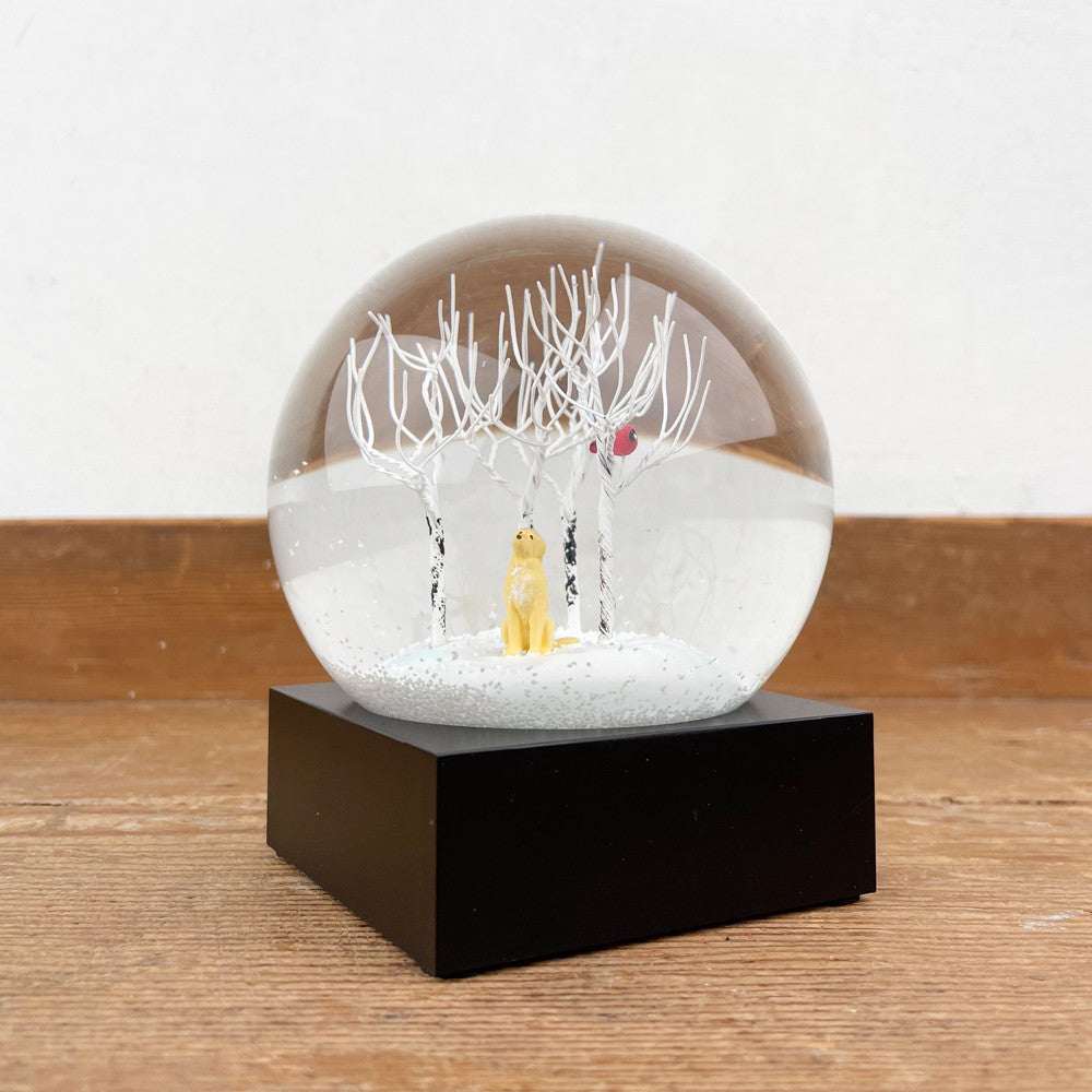 Labrador snow globe in the woods