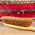 Carpet brush