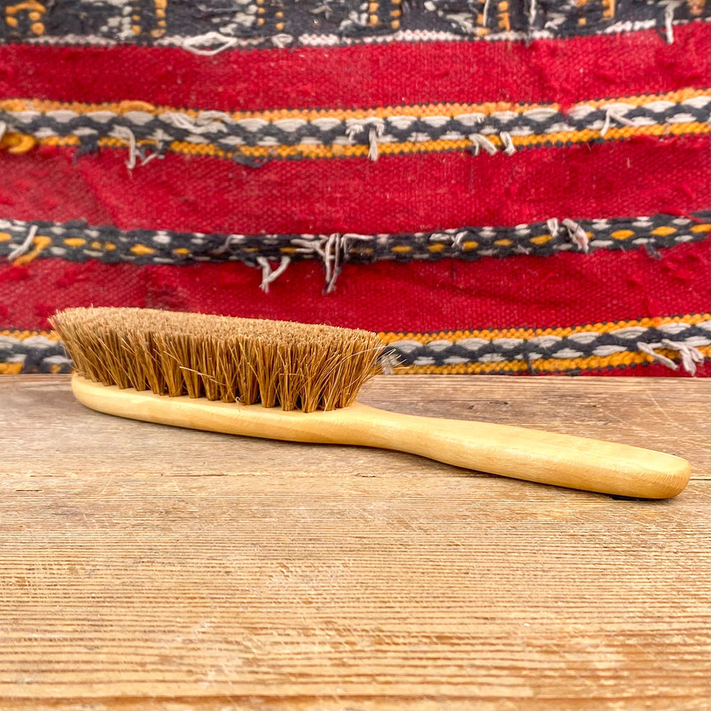Carpet brush
