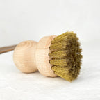 Barbecue grill brush